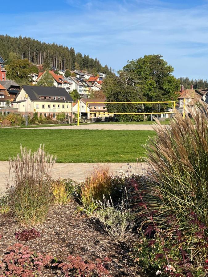 Apartment Annis Panoramablick Pool Sauna Tennis Schonach im Schwarzwald Extérieur photo